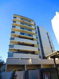 SYFORME GAKUSHUINSHITA(704)