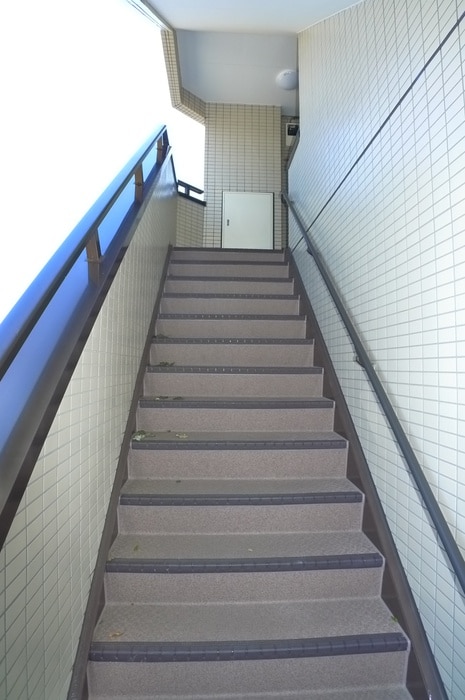 エントランス部分 ラフィ－ヌ・新松戸南