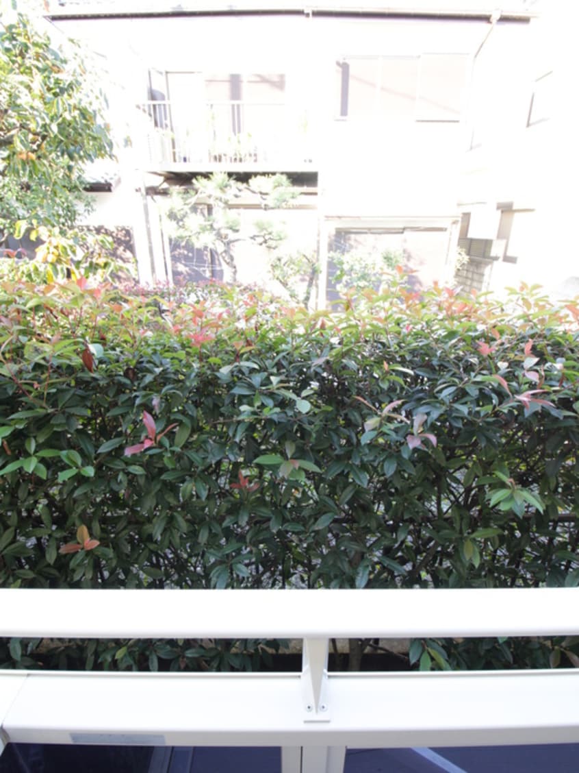 室内からの展望 プレミ－ルＡ