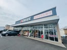 CREATE 新寒川倉見店(ドラッグストア)まで627m ルミエ－ルＣ