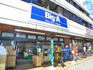 Big-A(スーパー)まで788m ｱﾙﾃｶｰｻｱﾘﾋﾞｴ東京ｲｰｽﾄ（411）