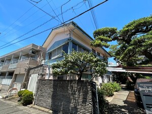 マグノリアA