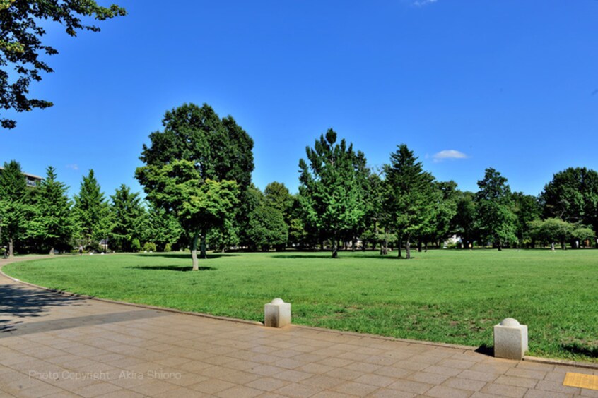 都立武蔵国分寺公園(公園)まで1400m ウィステリア壱番館