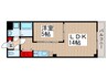 金太郎ヒルズ１６４ 1LDKの間取り