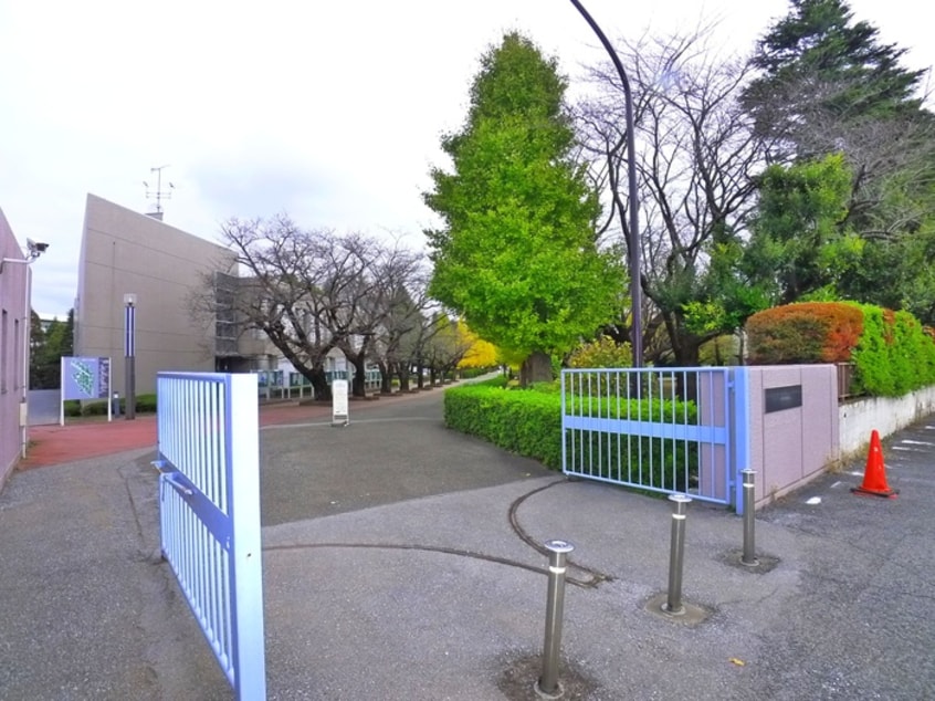日大理工学部(大学/短大/専門学校)まで664m モンシャトー習志野台