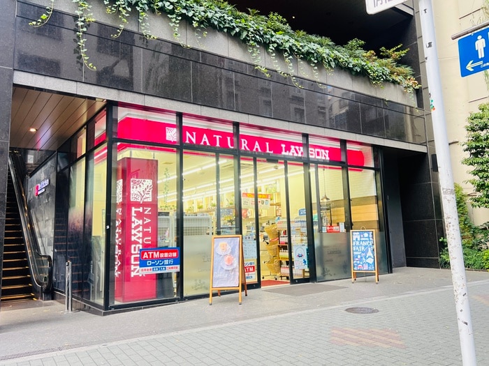 ナチュラルローソン NL中央銀座一丁目店(コンビニ)まで374m グランド・ガーラ銀座(1414)