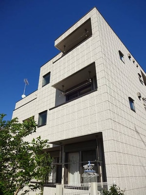 コートアイリス