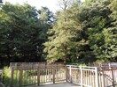 上野毛自然公園(公園)まで407m ガーデンヒルズ