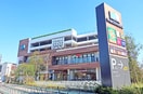マチノマ大森店(ショッピングセンター/アウトレットモール)まで657m たかみ荘