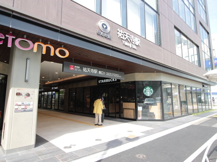 スターバックスコーヒー(カフェ)まで1100m ショウワハイツ