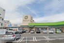 小田原百貨店 寿町店(スーパー)まで823m ドミ－ル・テン