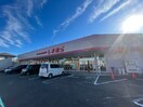 しまむら中新井店(ディスカウントショップ)まで322m ハイツMⅡ