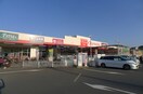 オリンピック(電気量販店/ホームセンター)まで900m メゾンド昴