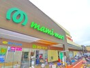マミーマート(スーパー)まで310m Ｌａ　ｖｅｒｇｅ