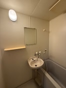 洗面 グレ－スパピヨン