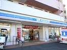 ローソン 世田谷上野毛通り店(コンビニ)まで170m 第一上野毛荘