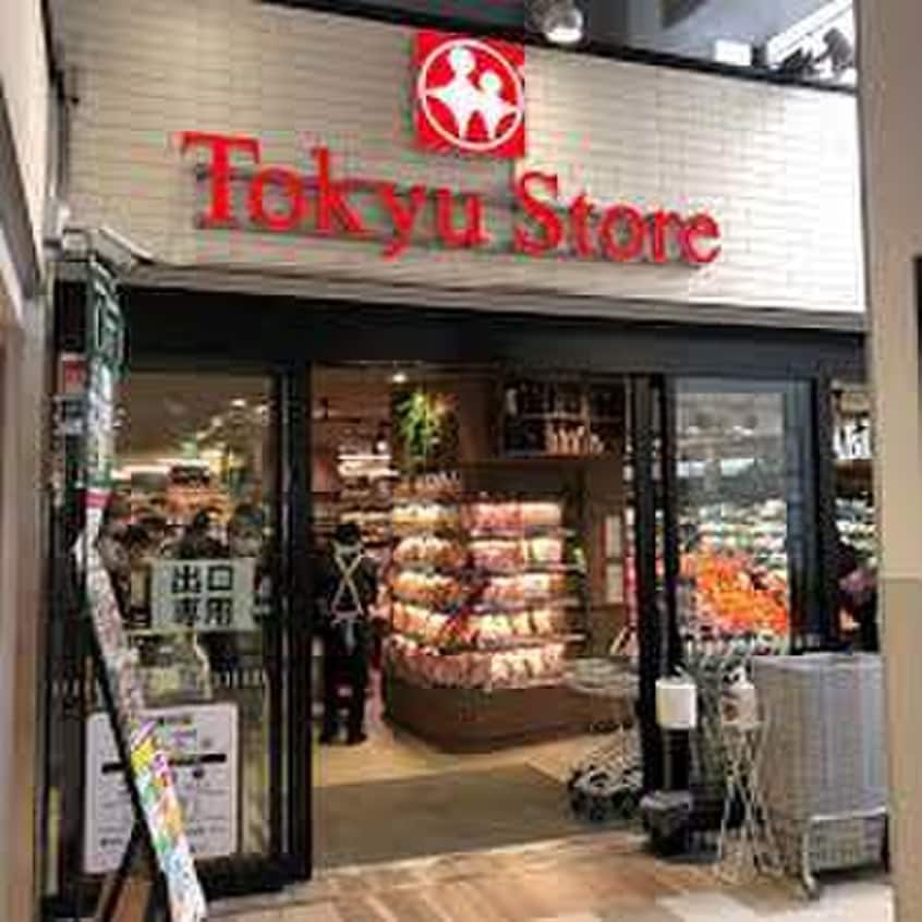 東急ストア　綱島駅前店(スーパー)まで349m ハーミットクラブハウスコルド