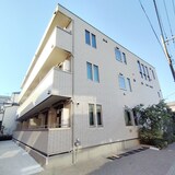 フィカーサ いちょうの木