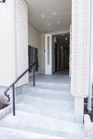 エントランス部分 フィカーサ いちょうの木