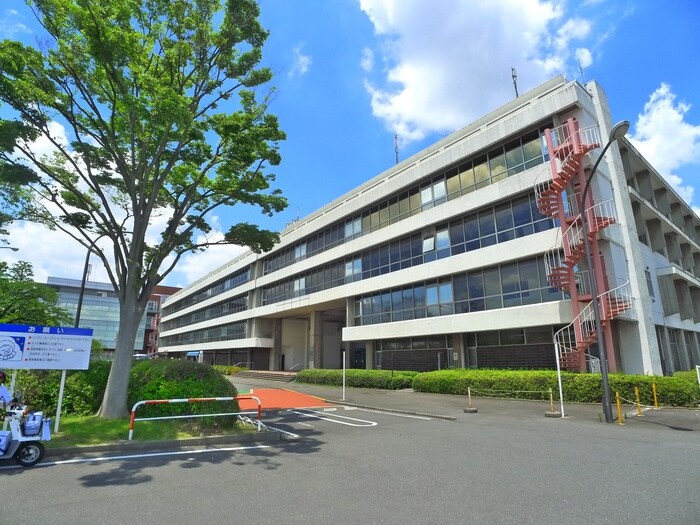 日本大学松戸歯学部(大学/短大/専門学校)まで830m クレバーハウス