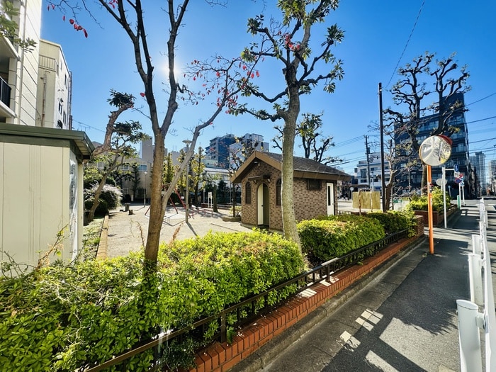 周辺環境 ルクレ住吉