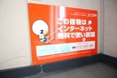 その他 マブルーク・アビシオン