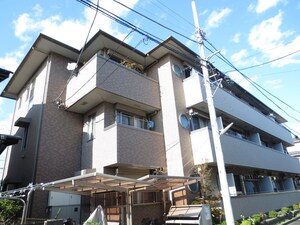 ベルウッド松が枝