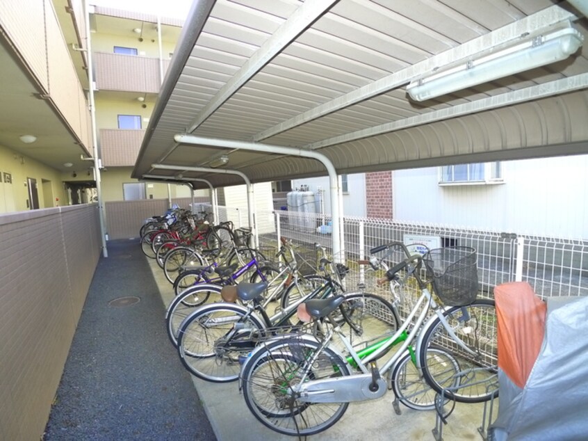 駐輪場 アラモ－ドパレス