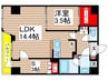 コンフォリア・リヴ平井MUTIO 1LDK+Sの間取り