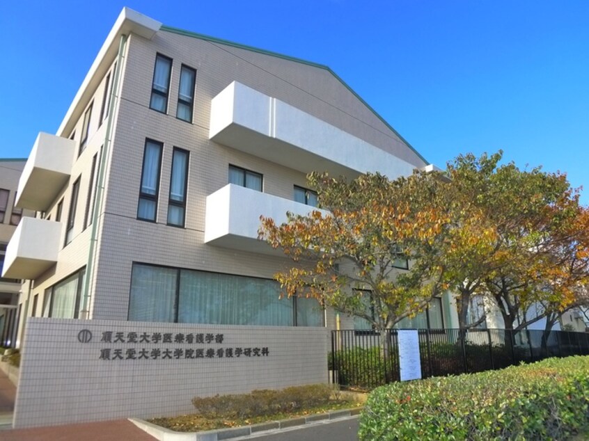 順天堂大学医療看護学部(大学/短大/専門学校)まで1500m クレオ舞浜Ｂ棟