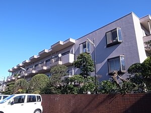 ブエナヴィスタ(202)