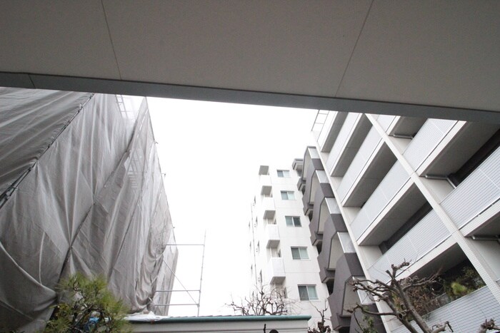 室内からの展望 リブリ・Albatross