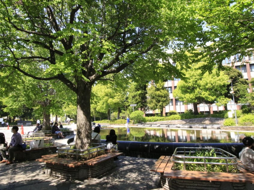 文京区立教育の森公園(公園)まで87m グランドール文京