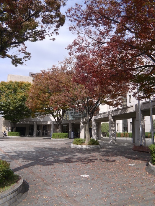 記念体育館(公園)まで550m フラワーヒルズ