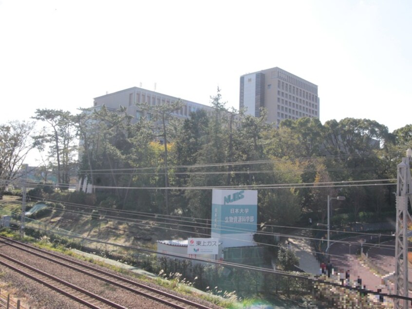 私立日本大学生物資源科学部(大学/短大/専門学校)まで629m ＢＡＣＥ亀井野