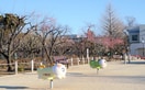 杉並区立松庵梅林公園(公園)まで400m ｻﾝﾗｲﾌﾏﾝｼｮﾝ