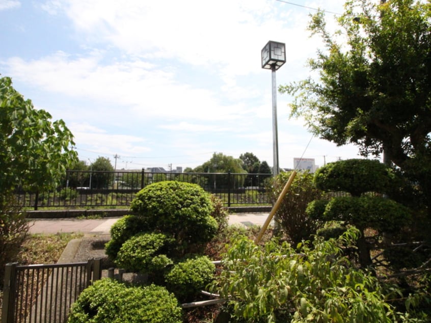 室内からの展望 第一アナップソバ弘治