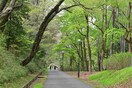 都立狭山公園(公園)まで189m レべルエイト