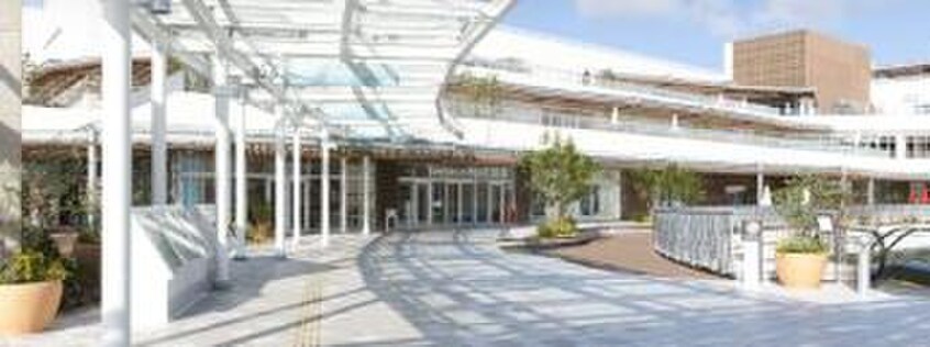 Terrace Mall(テラス モール)湘南(デパート)まで986m アドバンスフジ