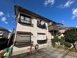 ロードサイドコスモス