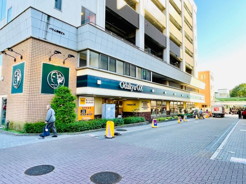 Odakyu  OX　鶴川店(スーパー)まで1100m グランディ－ルナギサワ