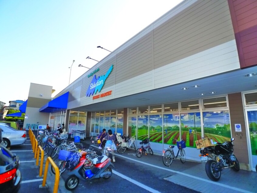 FOODS MARKET SELECTION(スーパー)まで788m メロウⅡ