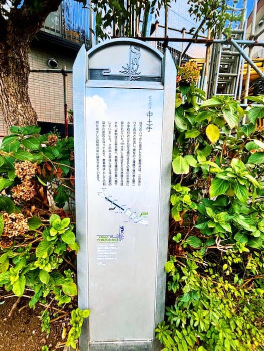 周辺環境 タオ池上