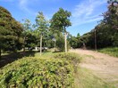 久良岐公園(公園)まで500m ブーローニュ上大岡