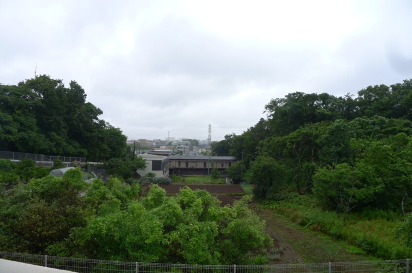 室内からの展望 スカイビュー・アン