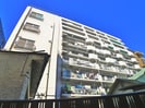 ライネスハイム市川（８０３）の外観