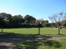 洋光台北公園(公園)まで850m 第一北見コ－ポ