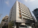 フレンシア菊川