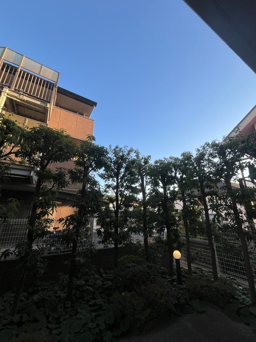 室内からの展望 ＦＲＯＮＴＲＹ