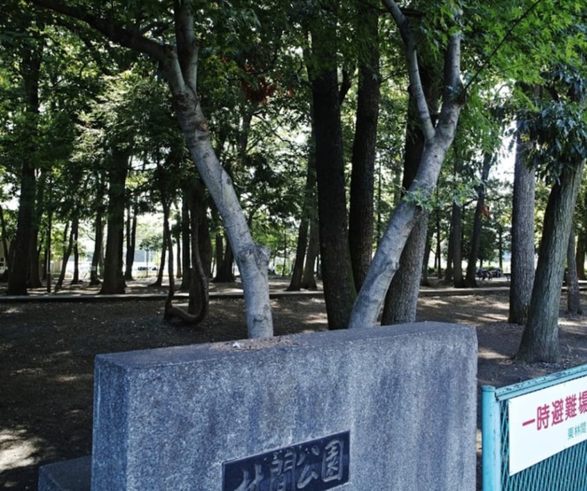 林間公園(公園)まで576m パル東林間
